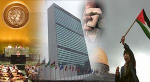 293540_216251248424539_187187_n[1]