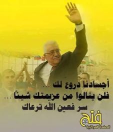 מאזן עין חילווה